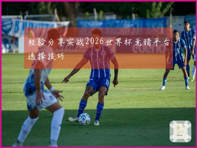 经验分享实战2026世界杯竞猜平台选择技巧