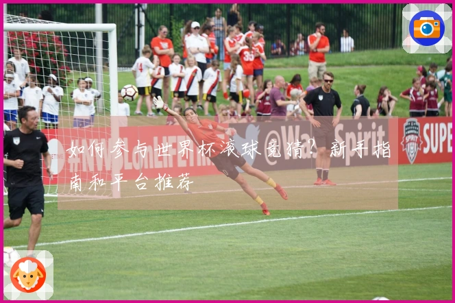 如何参与世界杯滚球竞猜？新手指南和平台推荐